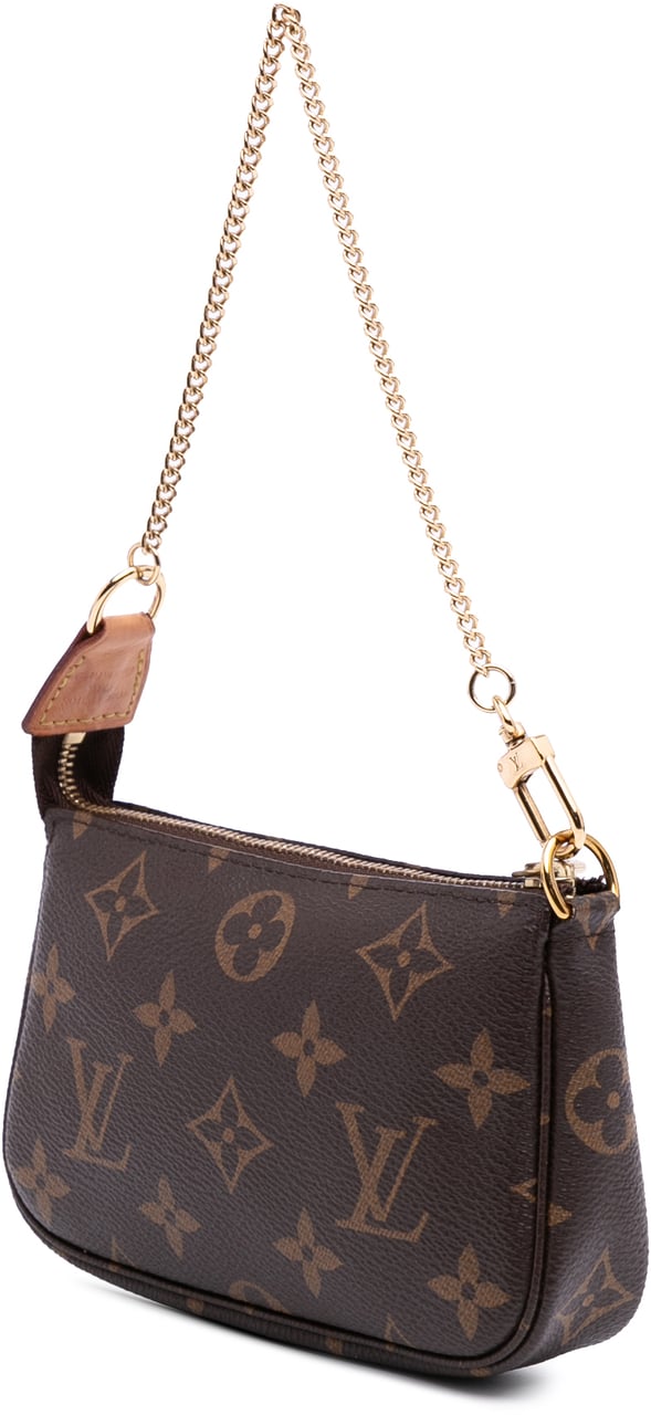 Louis Vuitton Monogram Mini Pochette Accessoires Bruin