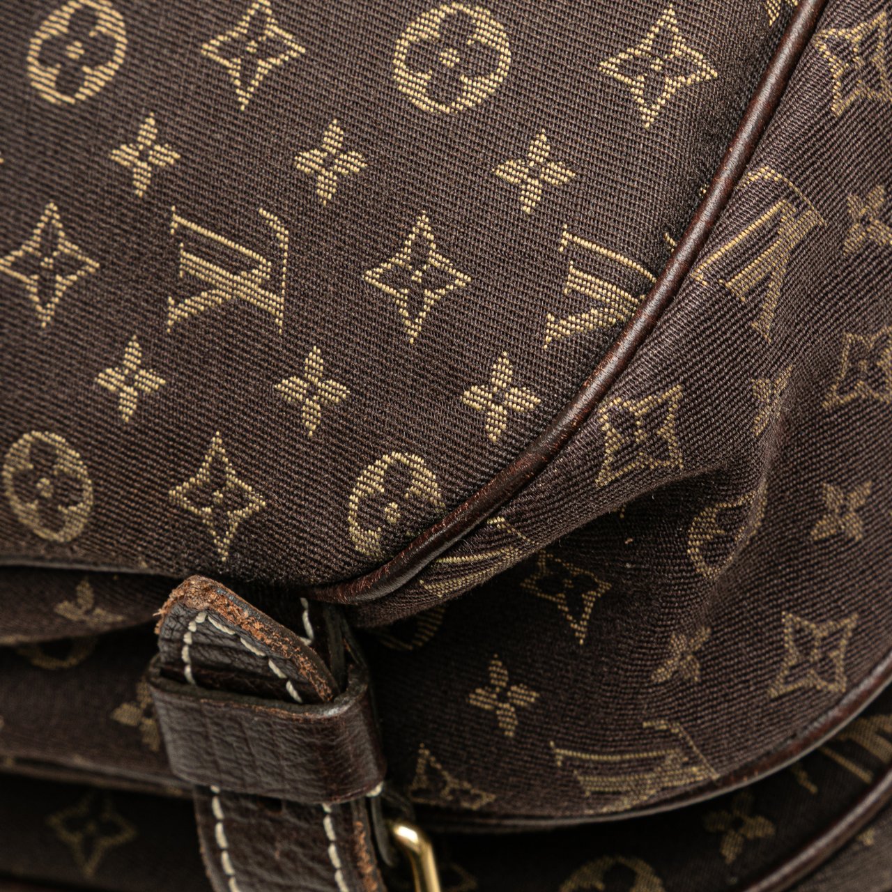 Louis Vuitton Monogram Mini Lin Saumur 30 Bruin