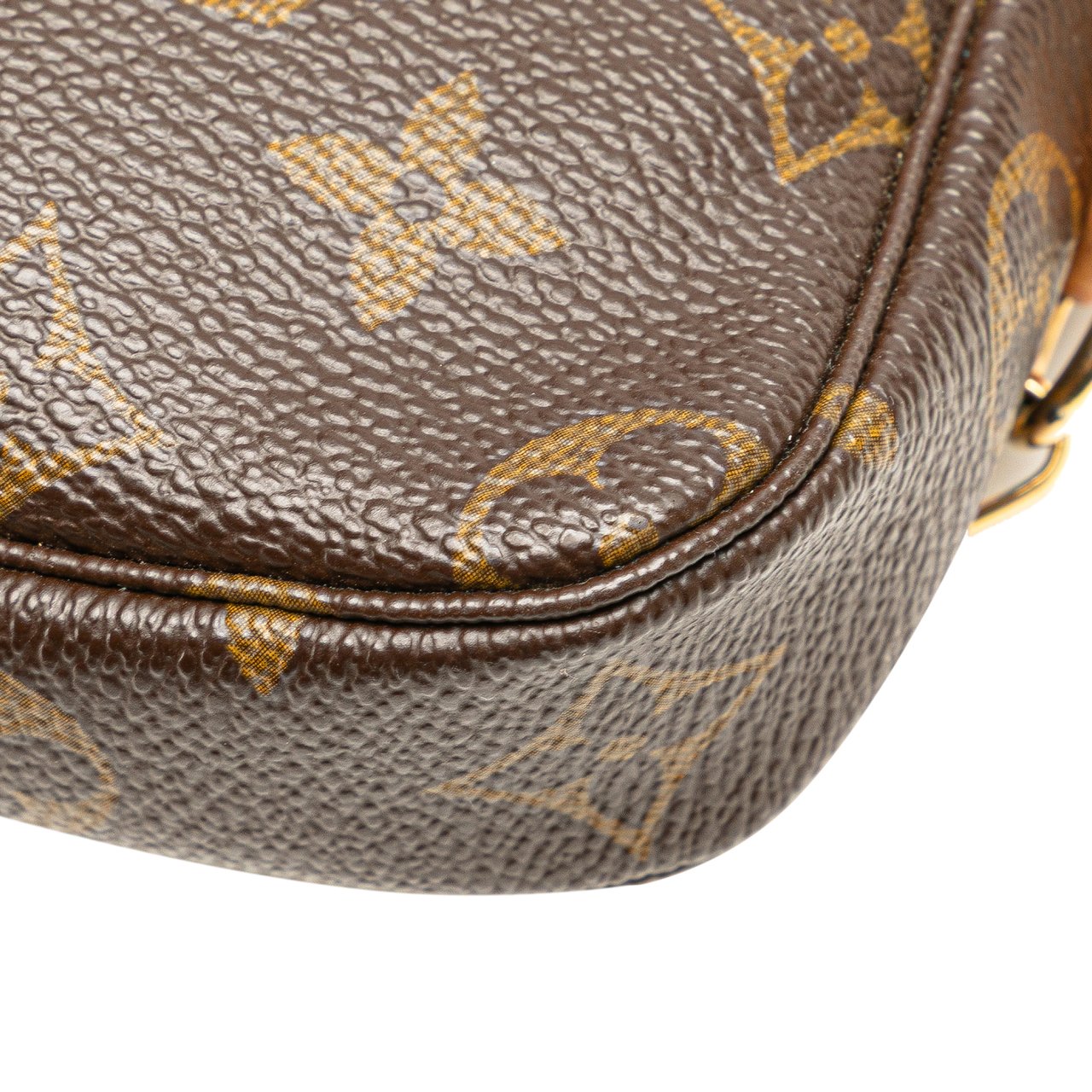 Louis Vuitton Monogram Mini Pochette Accessoires Bruin