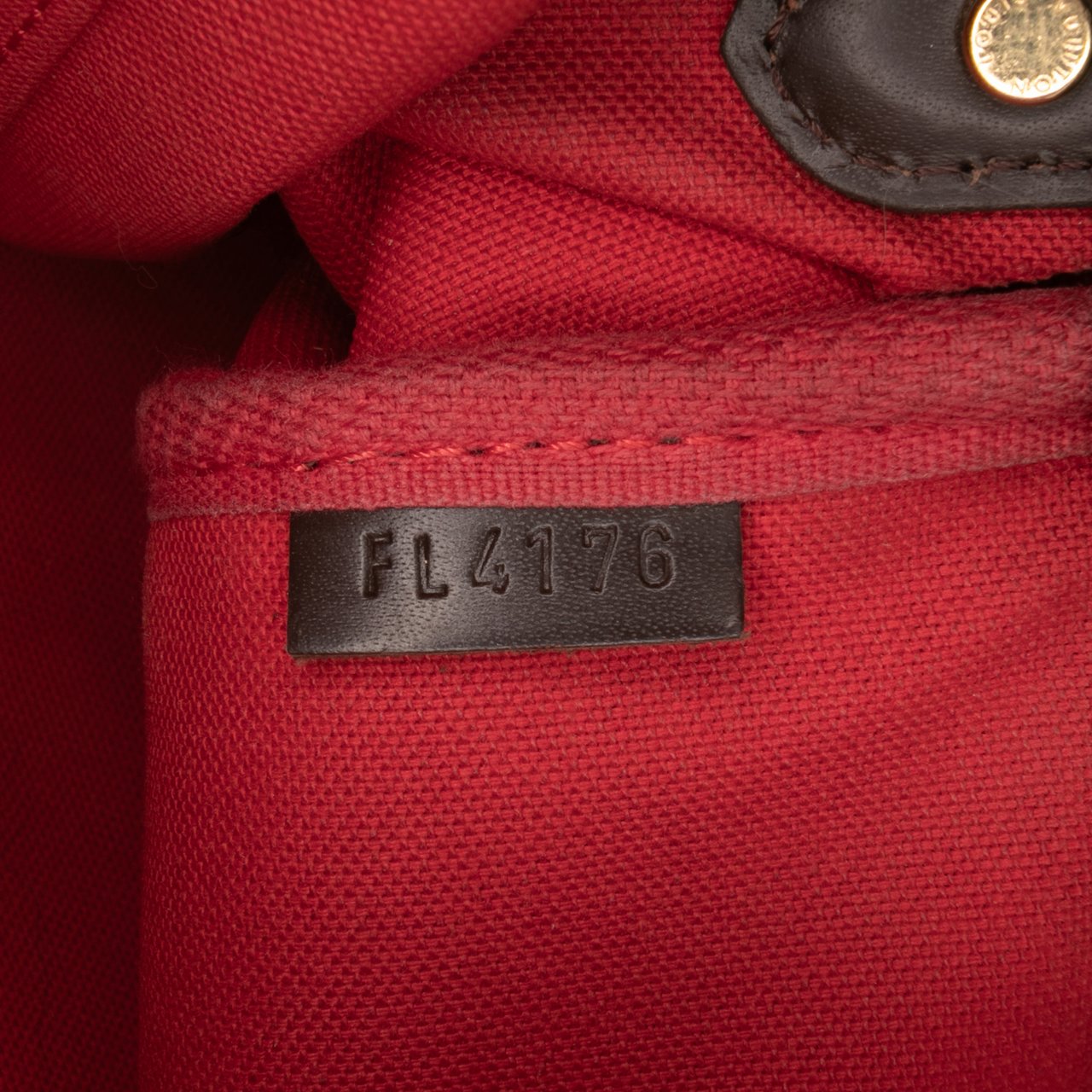 Louis Vuitton Damier Ebene Favorite MM Bruin