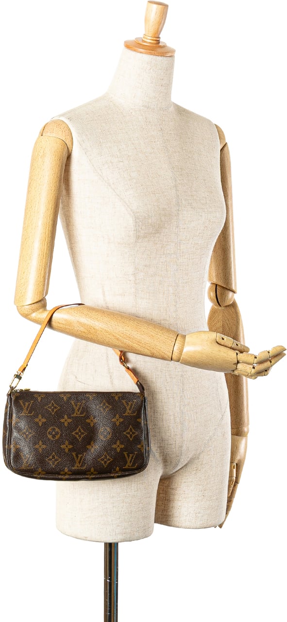 Louis Vuitton Monogram Pochette Accessoires Bruin