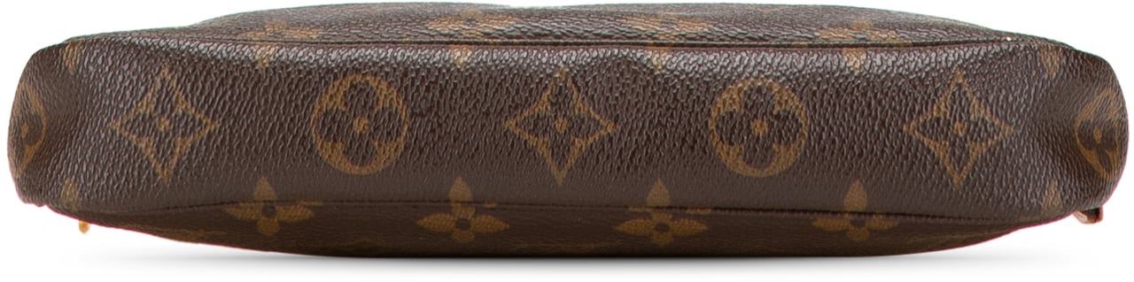 Louis Vuitton Monogram Pochette Accessoires Bruin