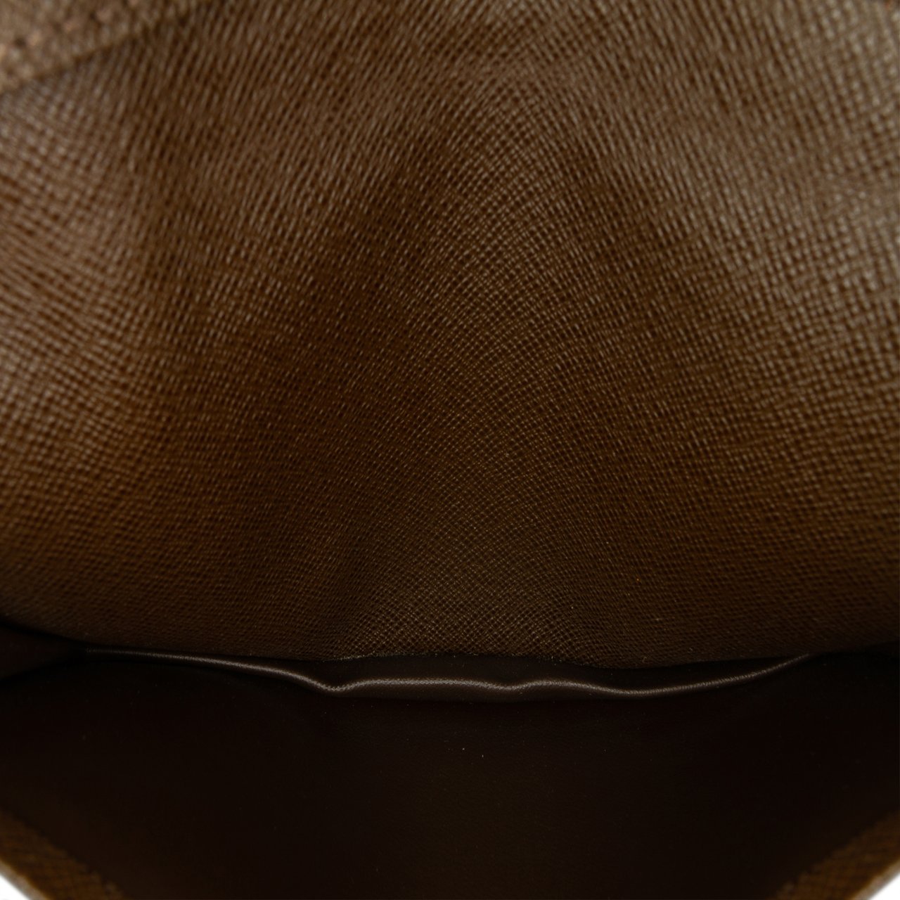 Louis Vuitton Taiga Checkbook Wallet Bruin