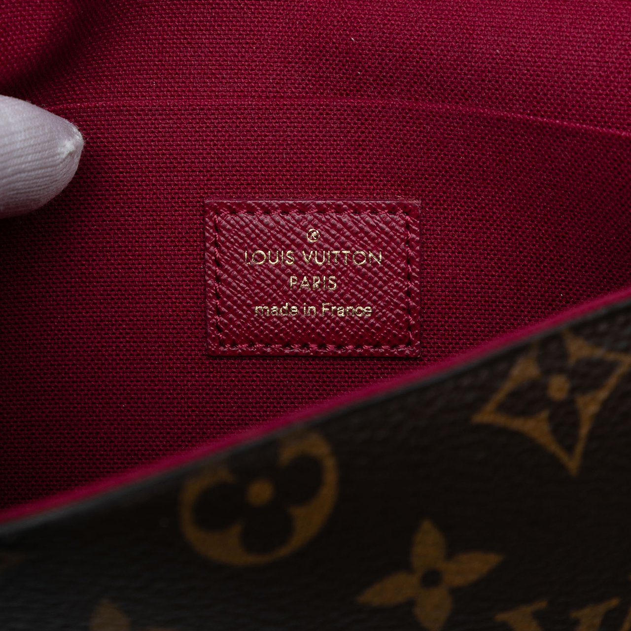 Louis Vuitton Monogram Pochette Felicie Bruin