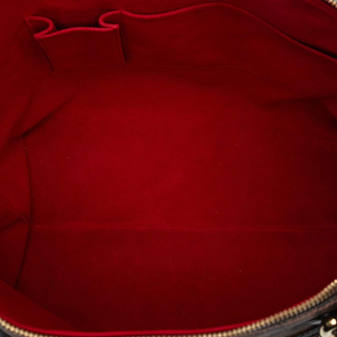 Louis Vuitton Damier Ebene Saleya GM Bruin