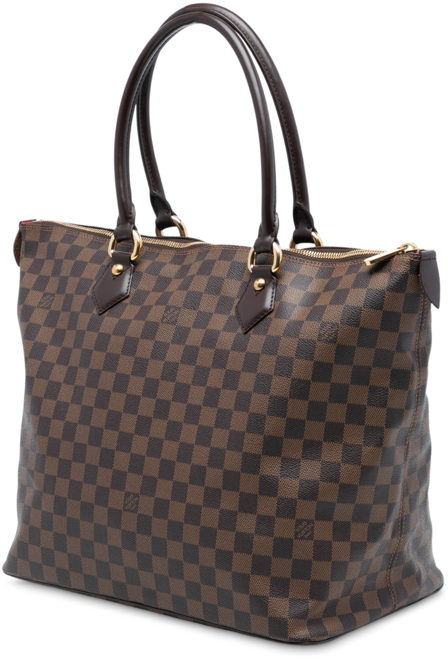 Louis Vuitton Damier Ebene Saleya GM Bruin