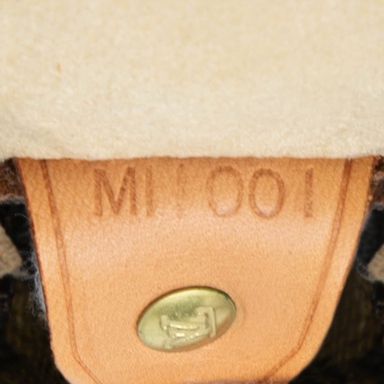 Louis Vuitton Monogram Looping GM Bruin