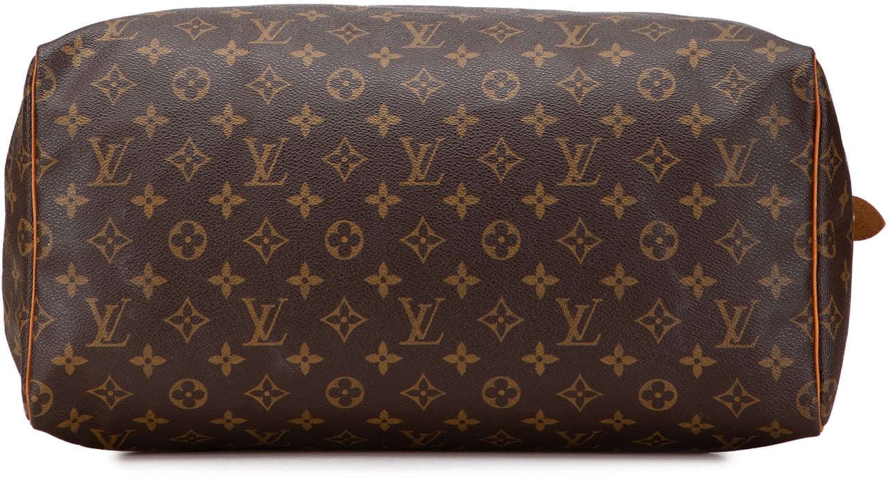 Louis Vuitton Monogram Speedy 40 Bruin