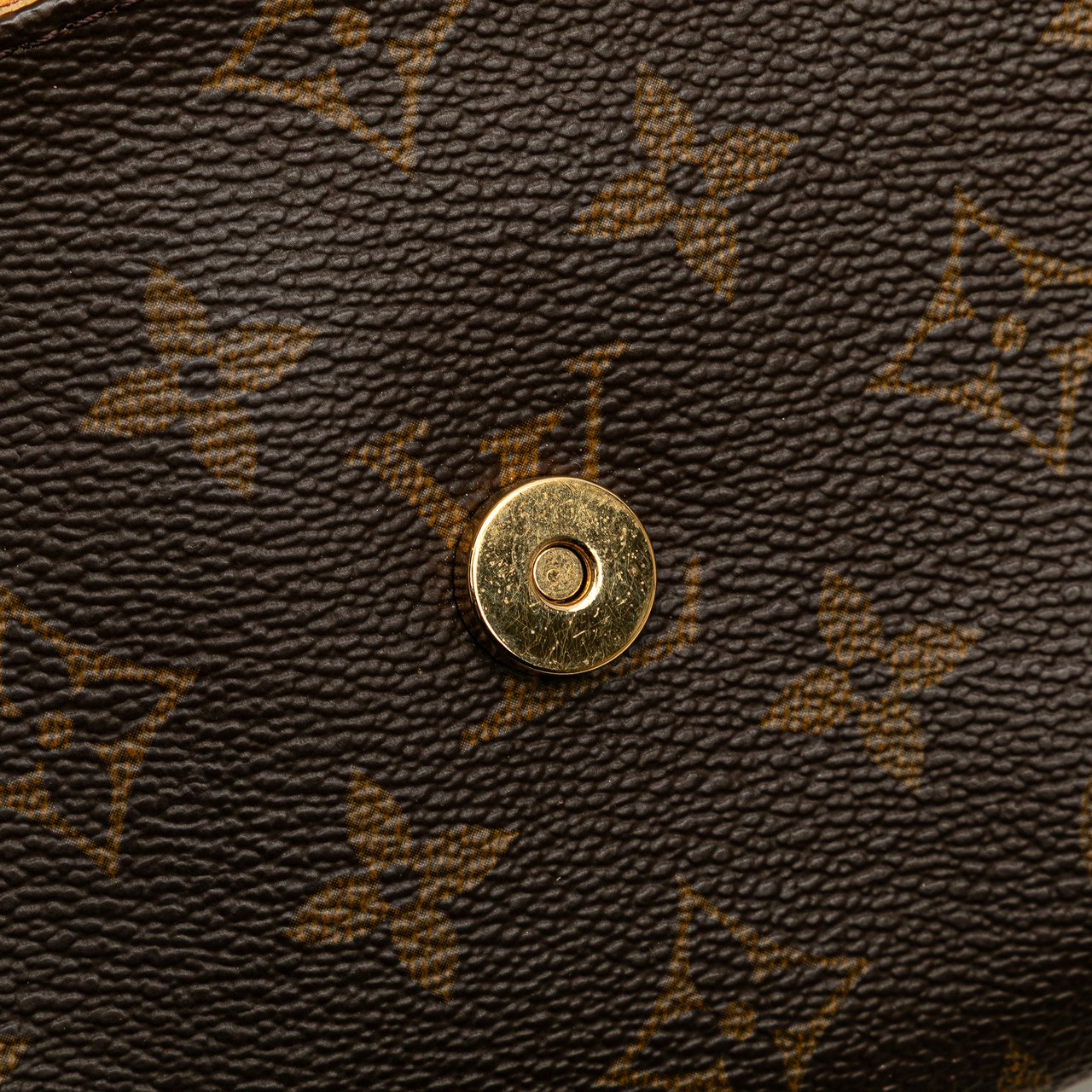 Louis Vuitton Monogram Pochette Twin GM Bruin