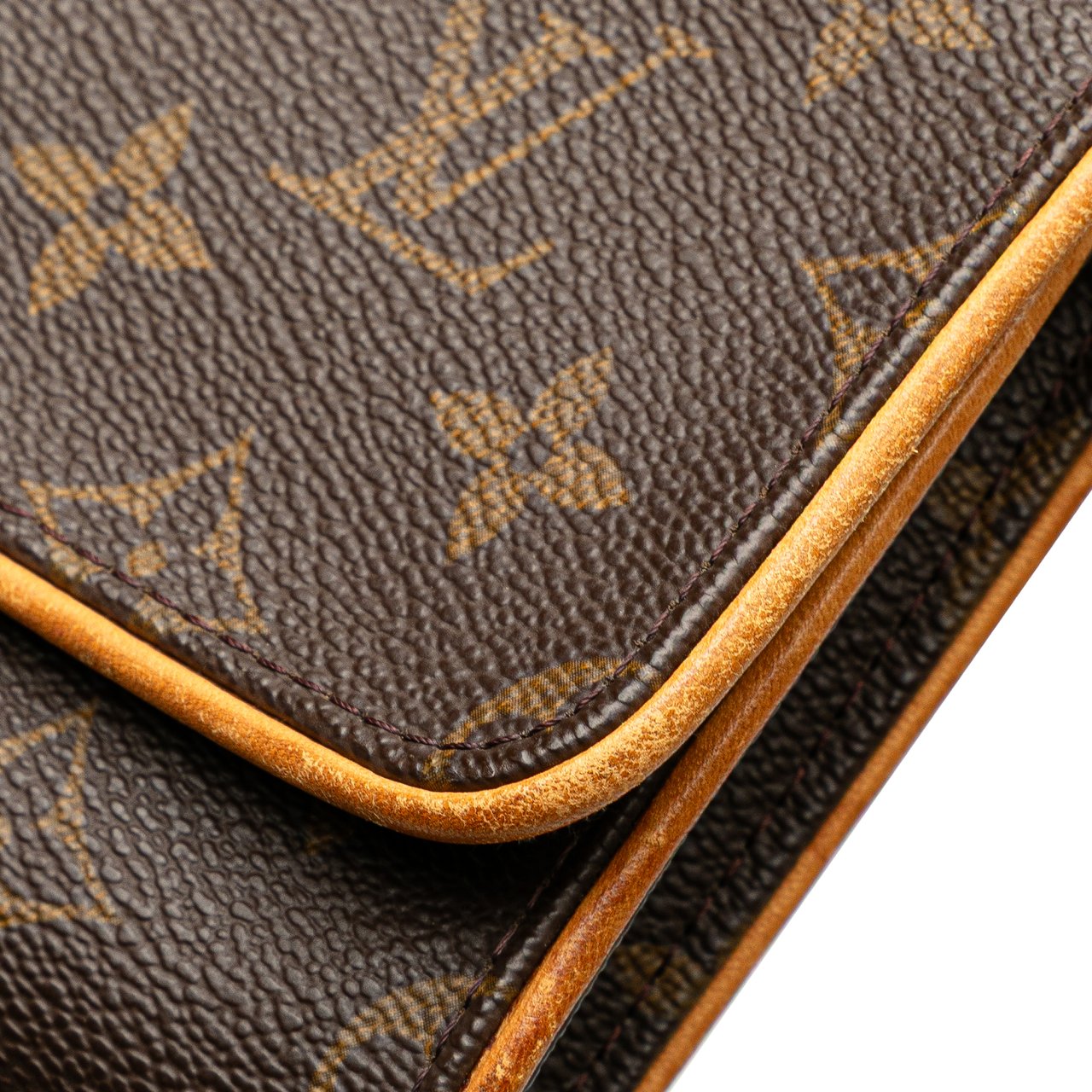 Louis Vuitton Monogram Pochette Twin GM Bruin