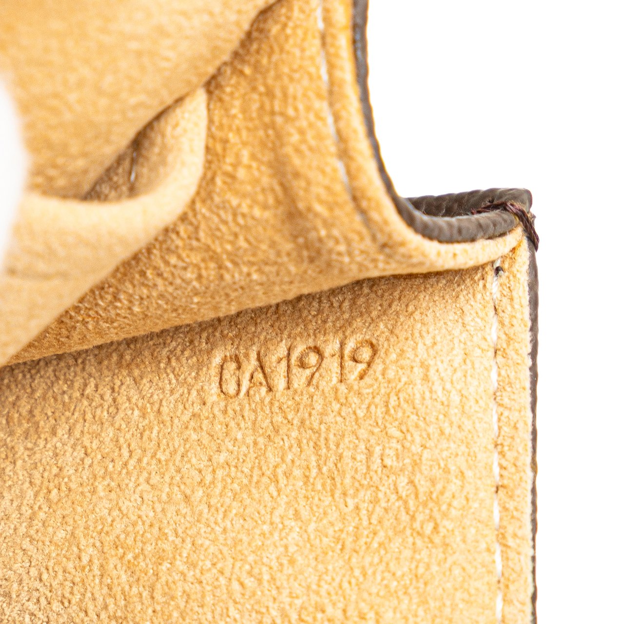 Louis Vuitton Monogram Pochette Twin GM Bruin