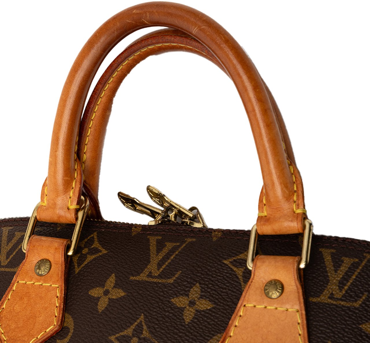 Louis Vuitton Monogram Alma PM Bruin