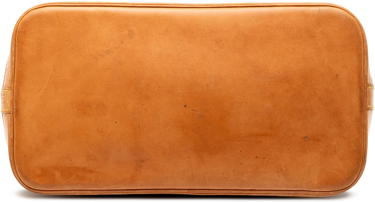 Louis Vuitton Monogram Alma PM Bruin