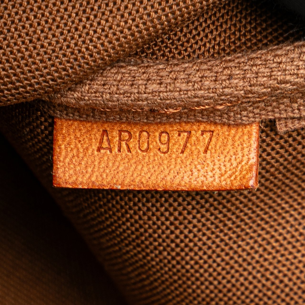 Louis Vuitton Monogram Pochette Accessoires Bruin