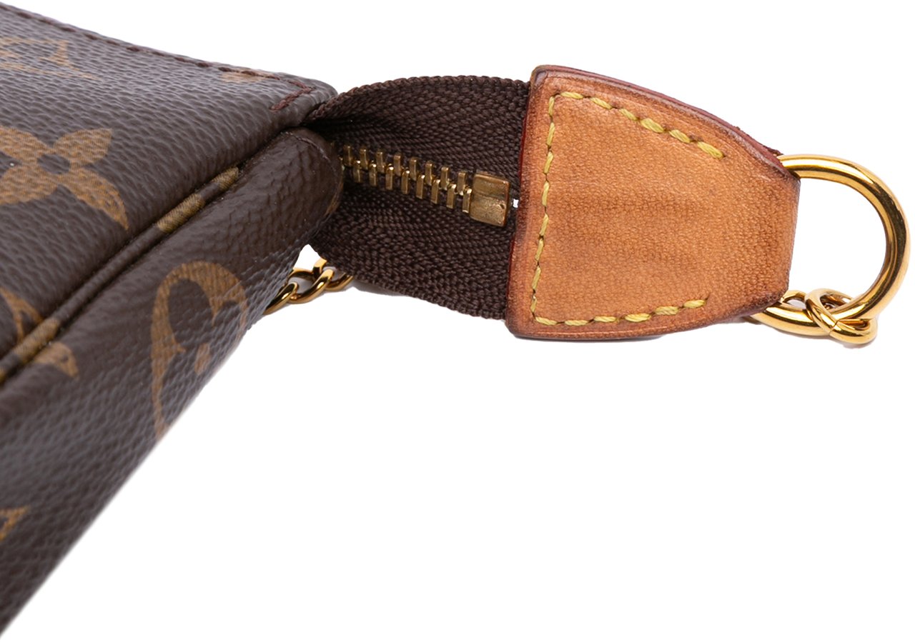 Louis Vuitton Monogram Mini Pochette Accessoires Bruin