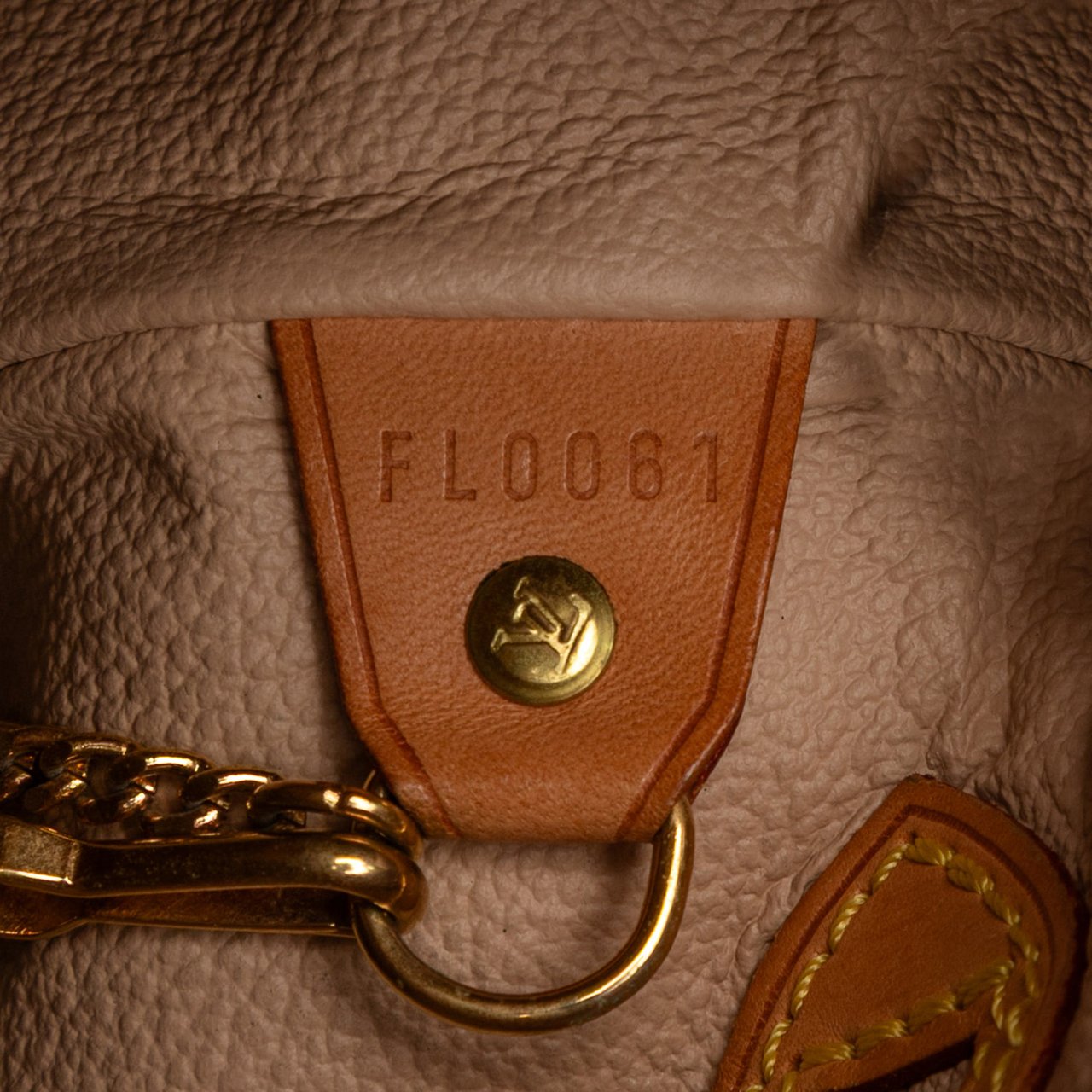 Louis Vuitton Monogram Petit Bucket Bruin