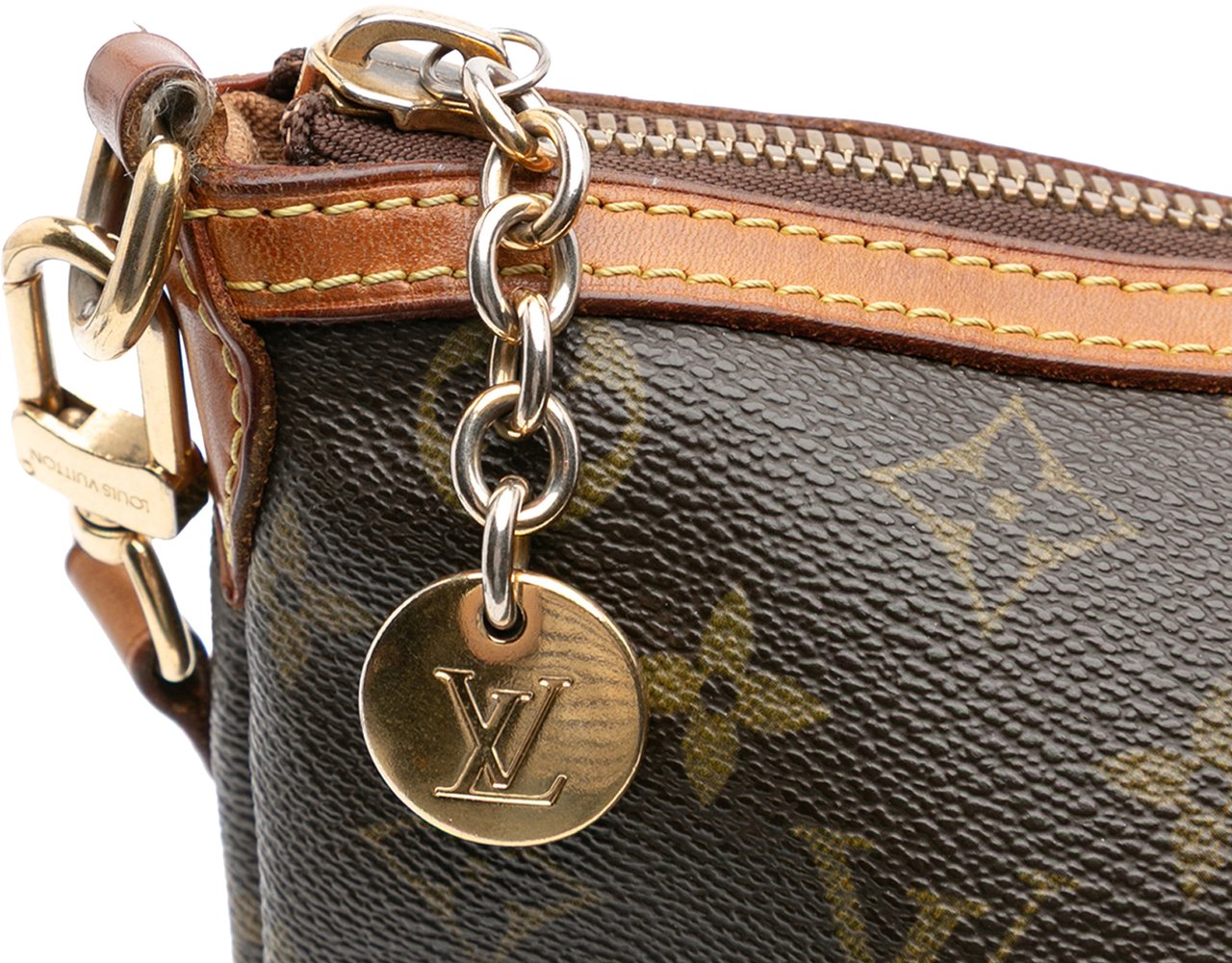 Louis Vuitton Monogram Palermo PM Bruin
