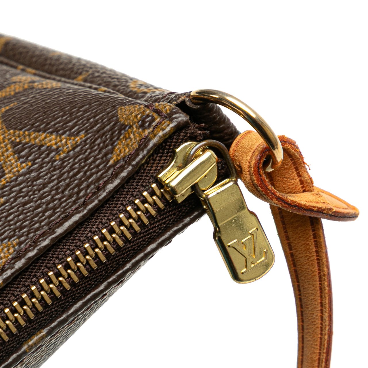 Louis Vuitton Monogram Pochette Accessoires Bruin
