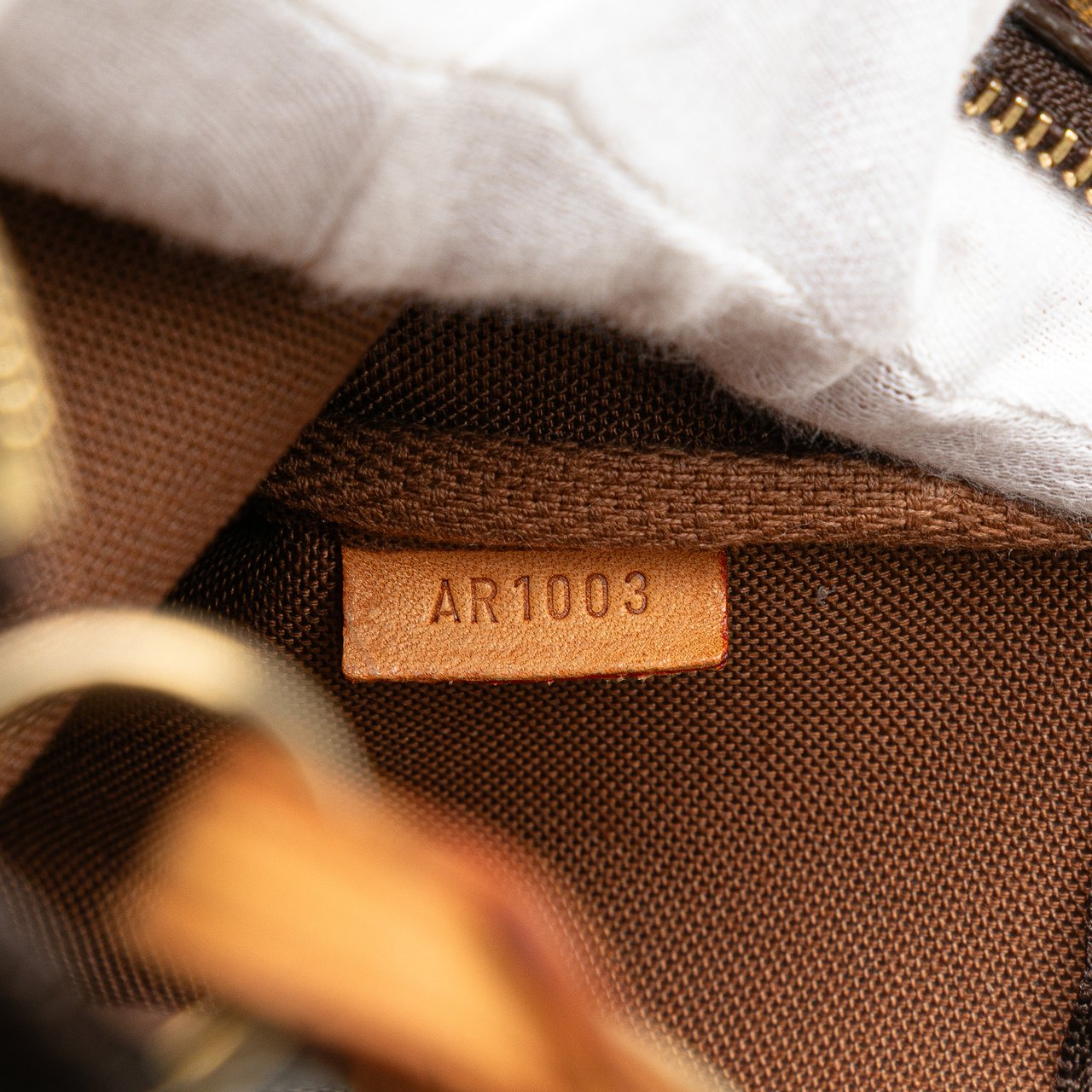 Louis Vuitton Monogram Pochette Accessoires Bruin