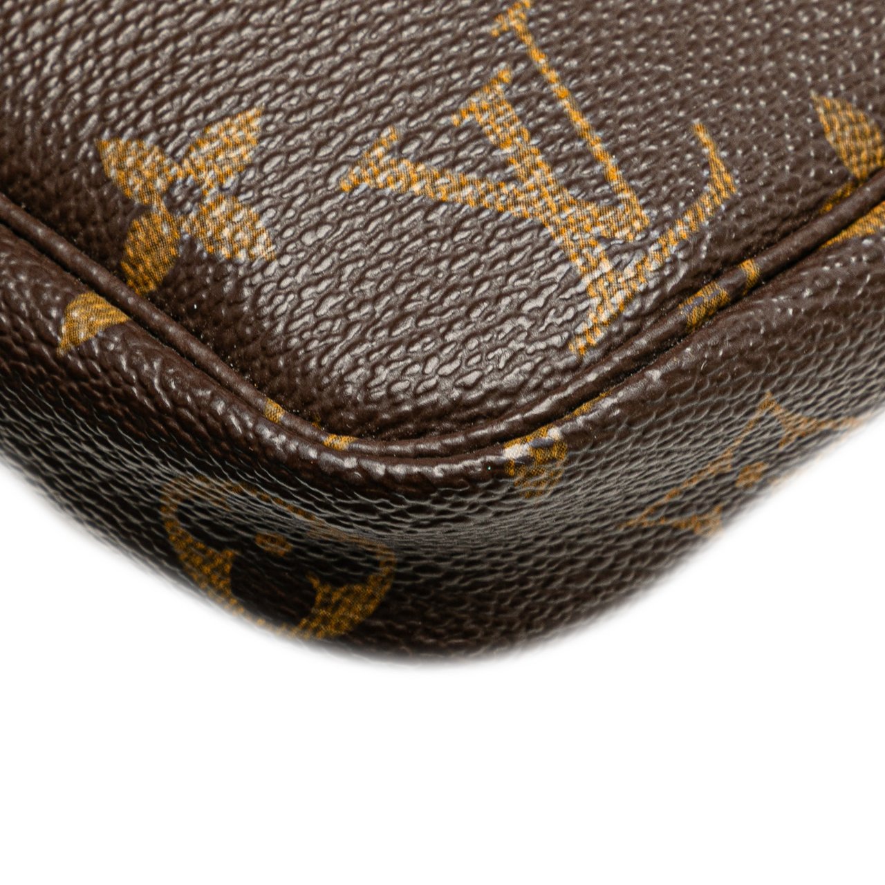 Louis Vuitton Monogram Pochette Accessoires Bruin