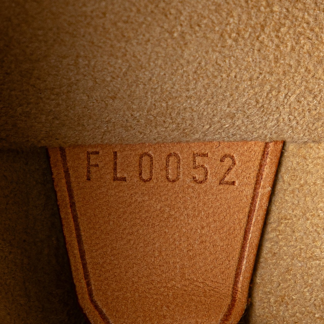 Louis Vuitton Monogram Cite GM Bruin