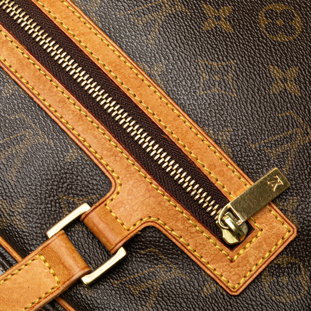 Louis Vuitton Monogram Cite GM Bruin