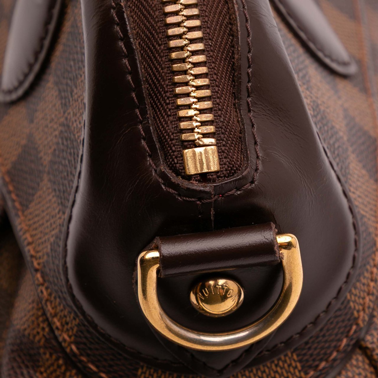 Louis Vuitton Damier Ebene Trevi PM Bruin