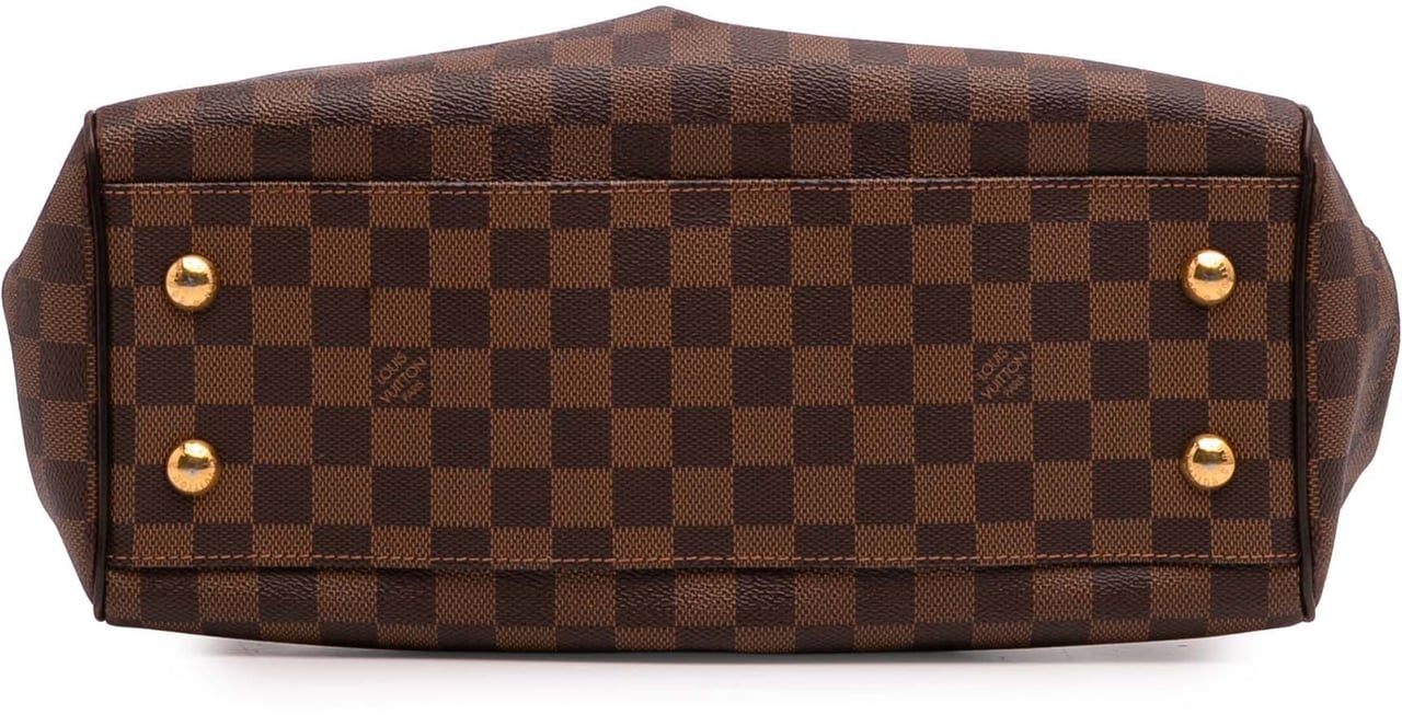 Louis Vuitton Damier Ebene Trevi PM Bruin