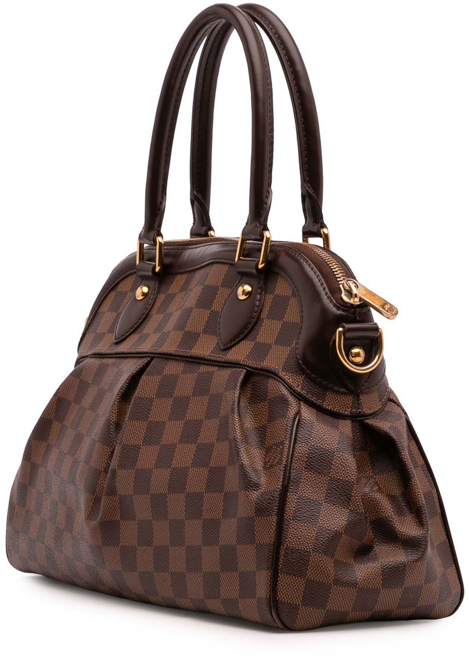Louis Vuitton Damier Ebene Trevi PM Bruin