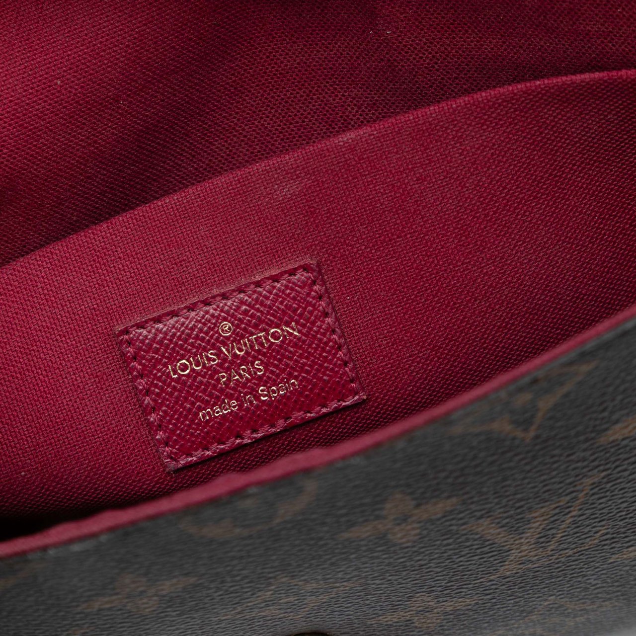 Louis Vuitton Monogram Pochette Felicie Bruin