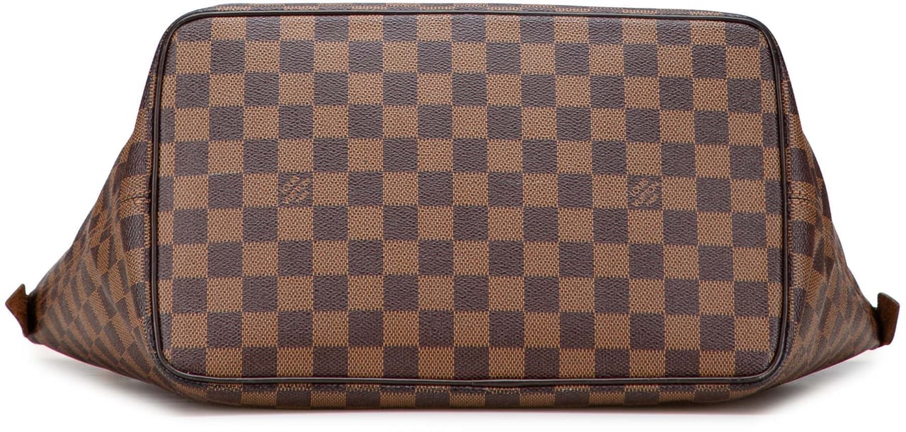 Louis Vuitton Damier Ebene Saleya MM Bruin