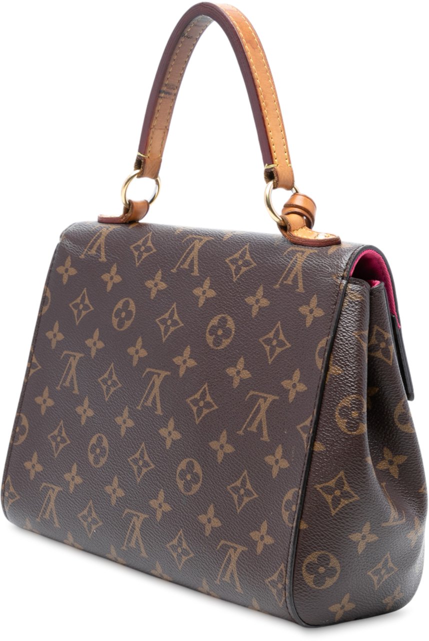 Louis Vuitton Monogram Cluny BB Bruin