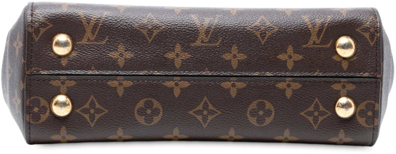 Louis Vuitton Monogram Cluny BB Bruin