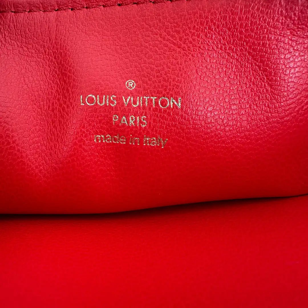 Louis Vuitton Louis Vuitton Coussin PM white gold hardware M23466/ mint condition Wit