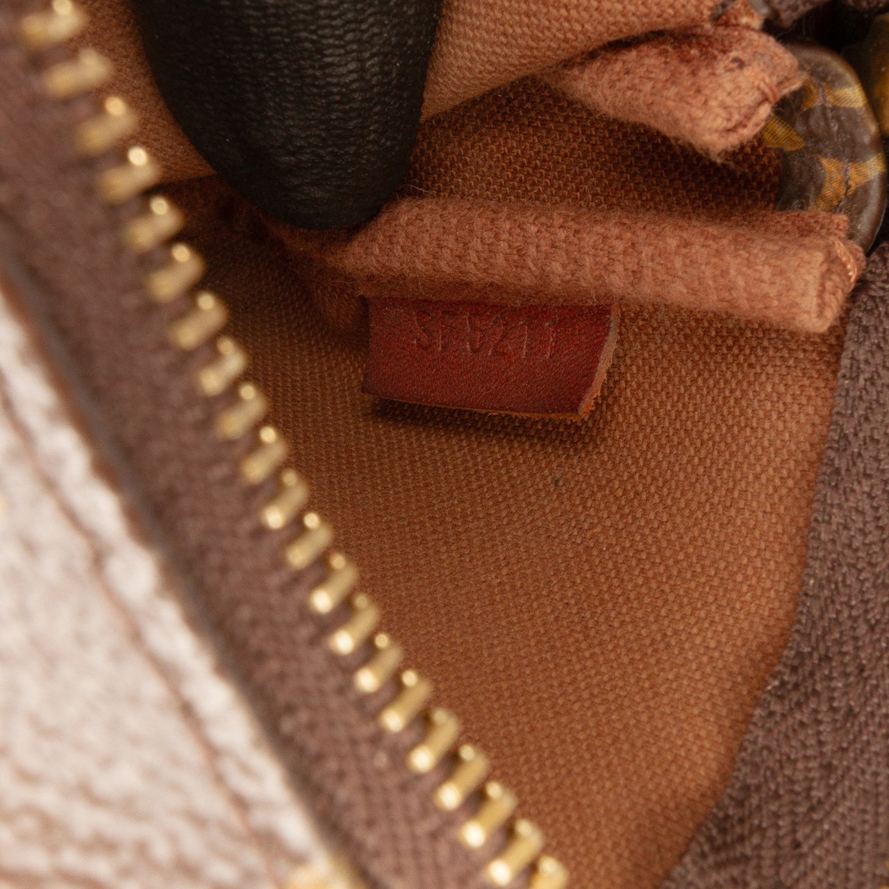 Louis Vuitton Monogram Mini Pochette Accessoires Bruin