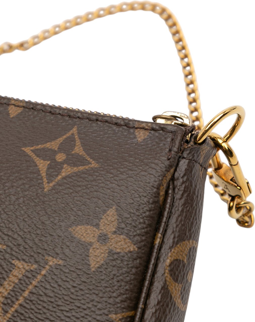 Louis Vuitton Monogram Mini Pochette Accessoires Bruin