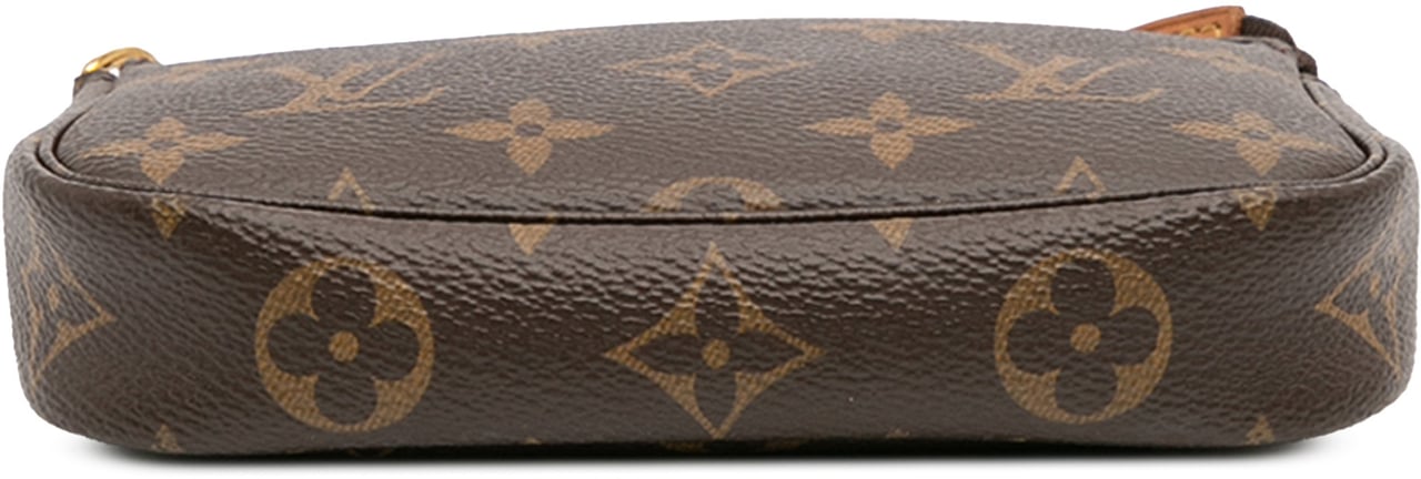Louis Vuitton Monogram Mini Pochette Accessoires Bruin