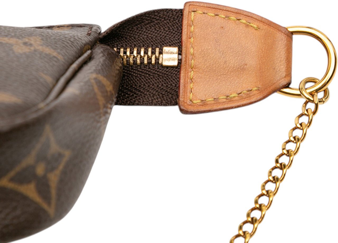 Louis Vuitton Monogram Mini Pochette Accessoires Bruin