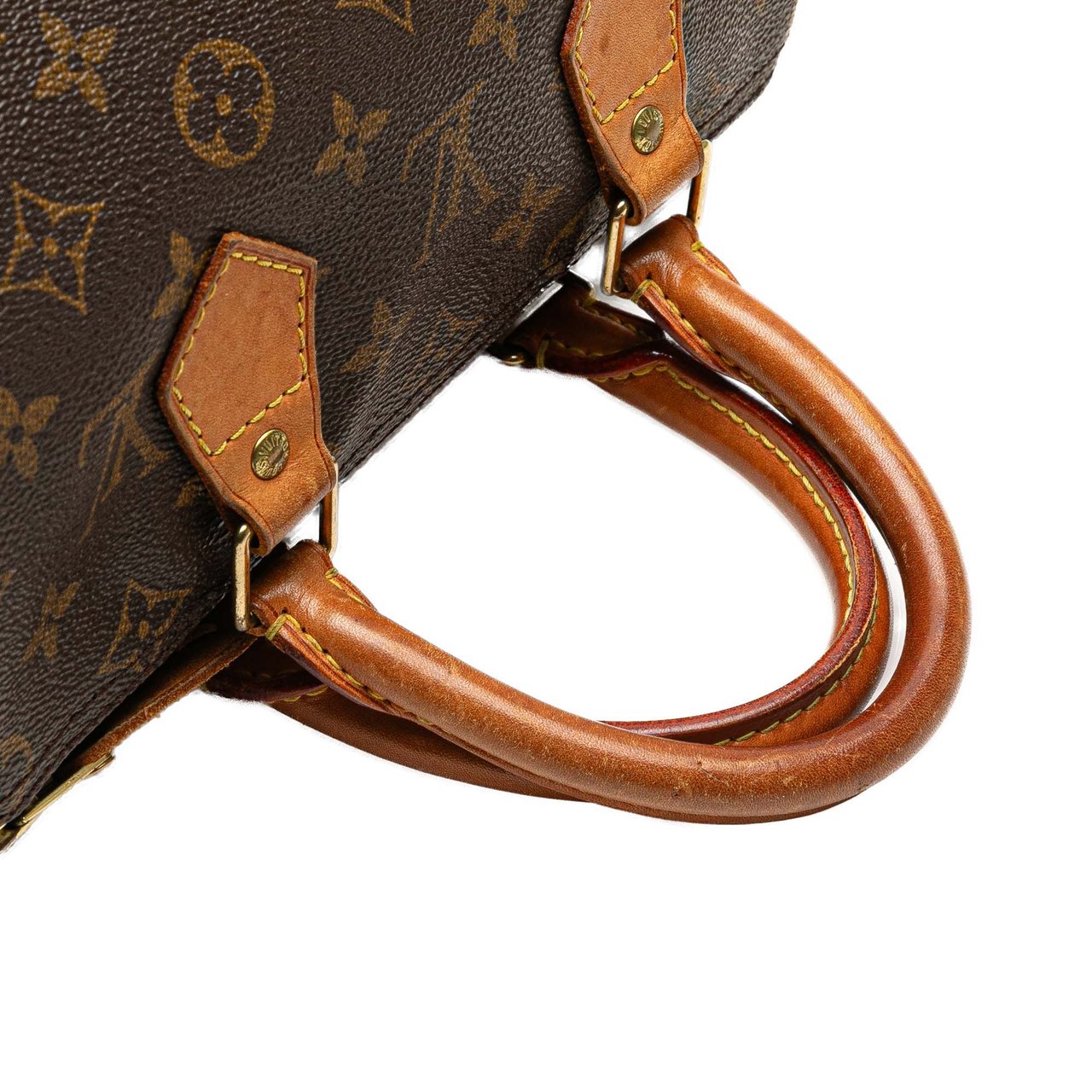 Louis Vuitton Monogram Speedy 25 Bruin