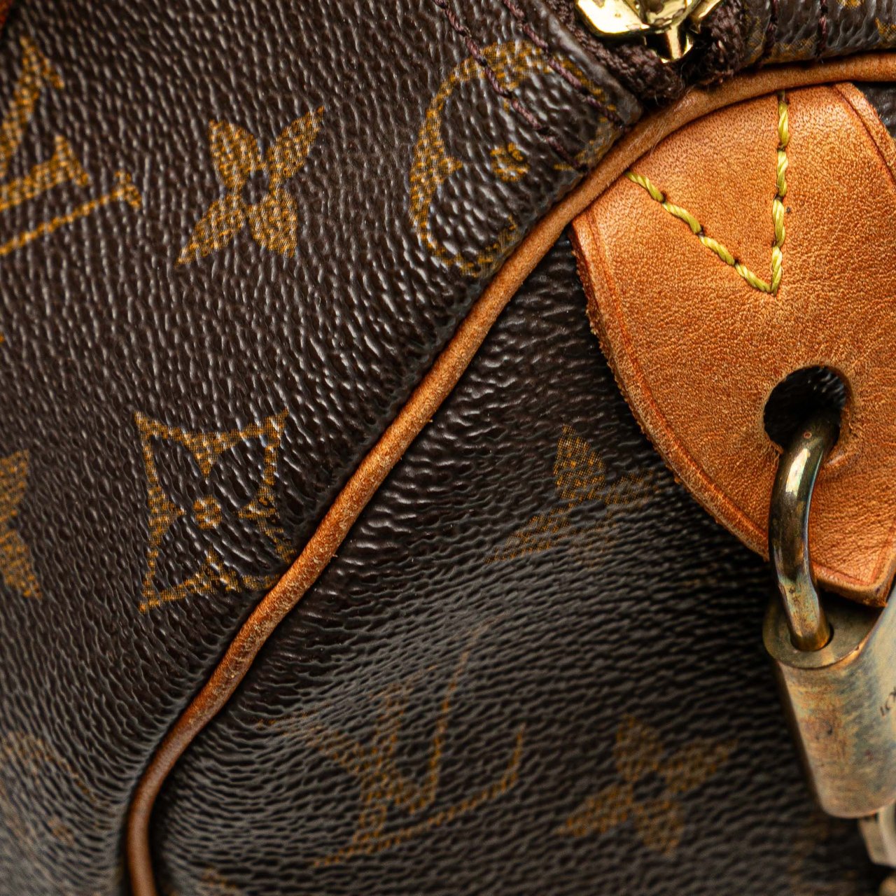 Louis Vuitton Monogram Speedy 25 Bruin