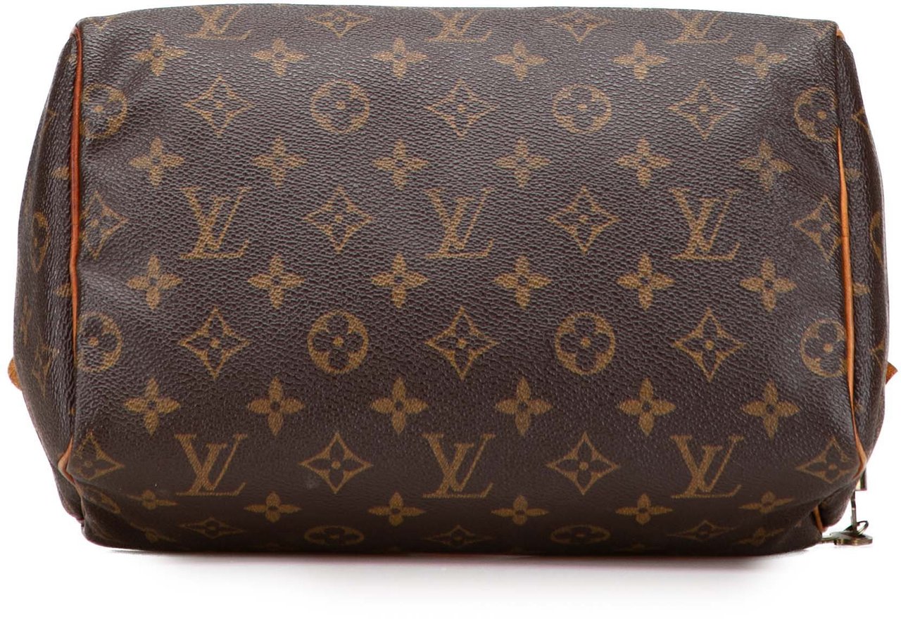 Louis Vuitton Monogram Speedy 25 Bruin