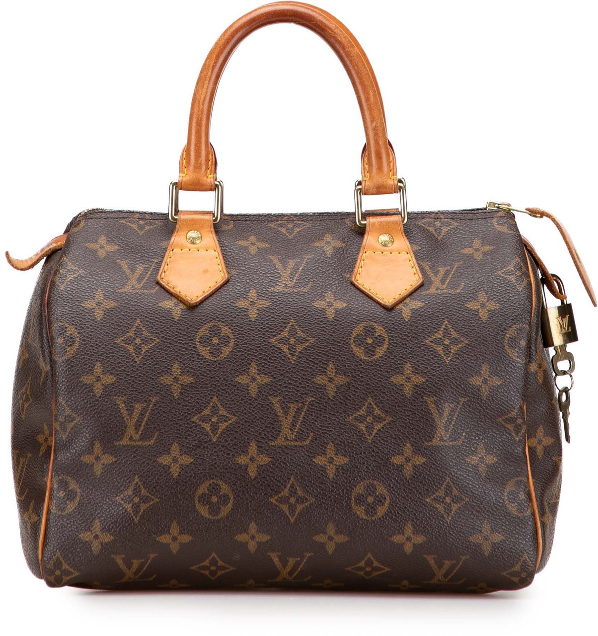 Louis Vuitton Monogram Speedy 25 Bruin