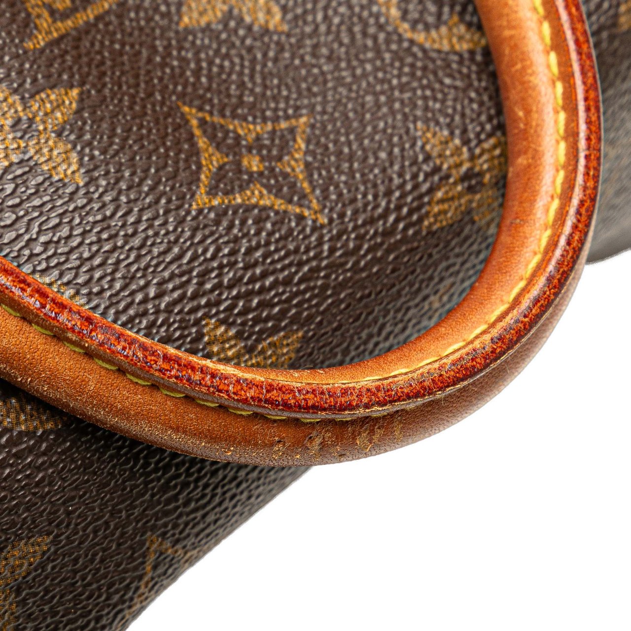 Louis Vuitton Monogram Speedy 25 Bruin