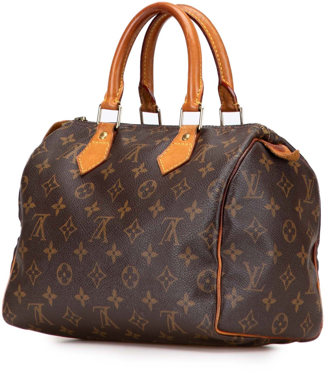 Louis Vuitton Monogram Speedy 25 Bruin