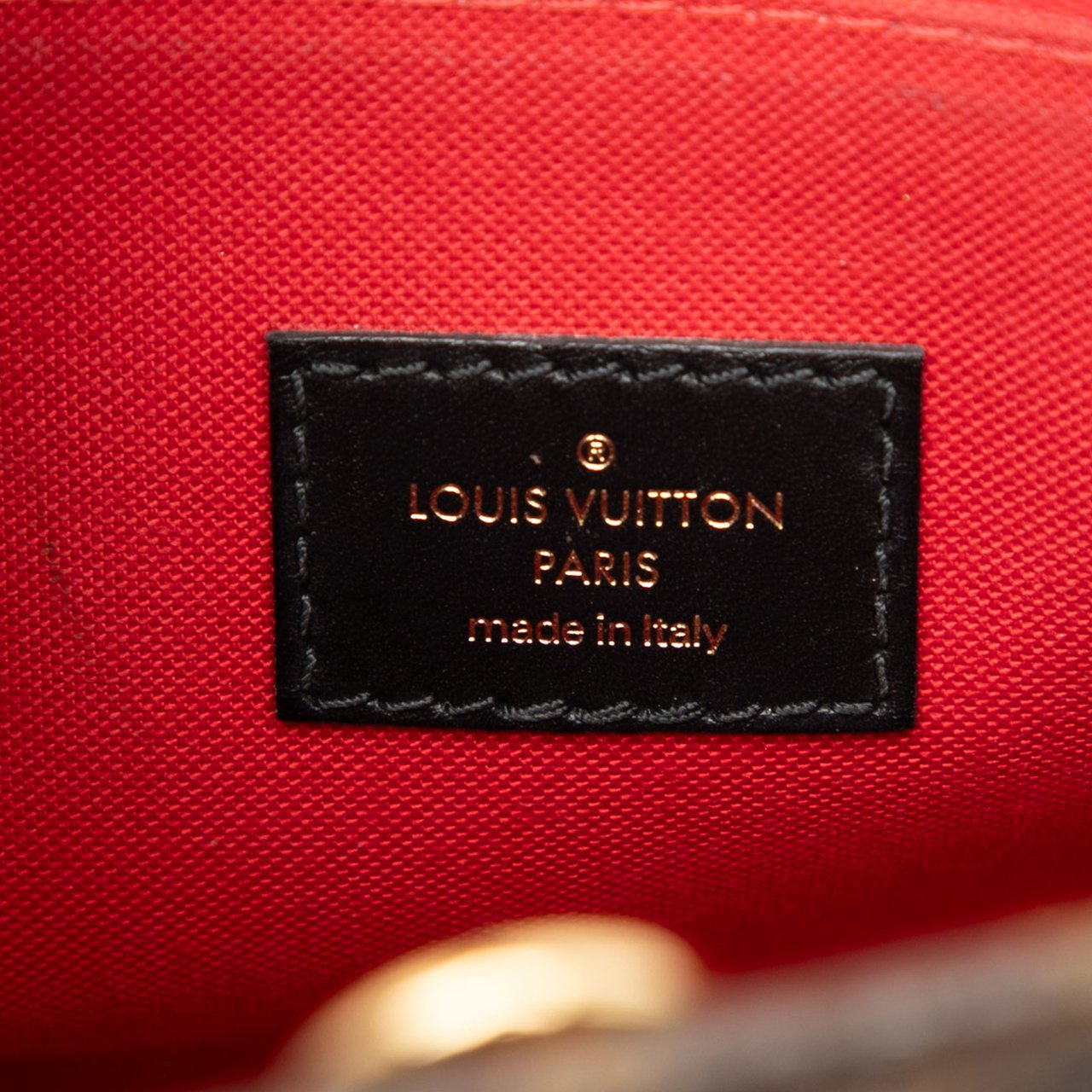 Louis Vuitton Monogram Reverse Giant OnTheGo PM Bruin