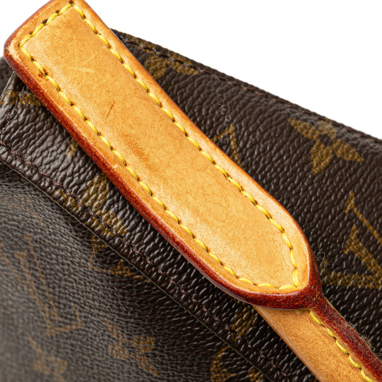 Louis Vuitton Monogram Looping MM Bruin