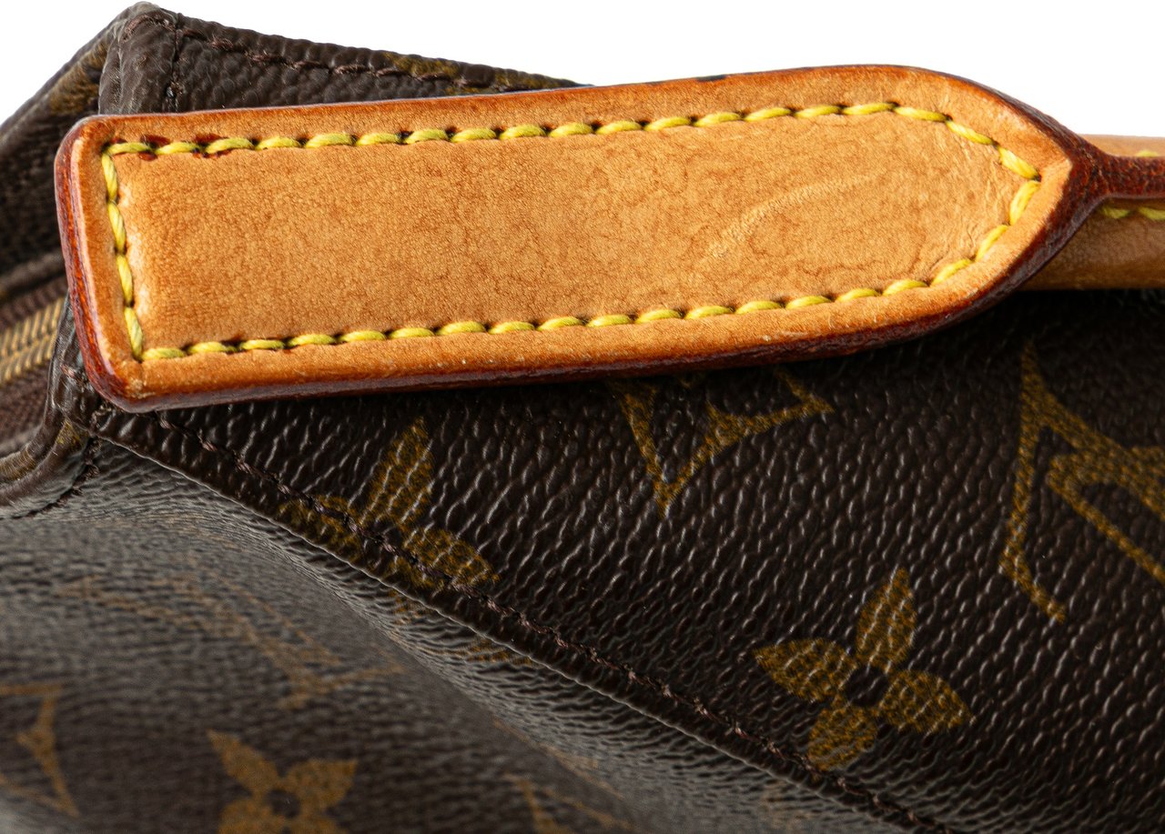 Louis Vuitton Monogram Looping MM Bruin