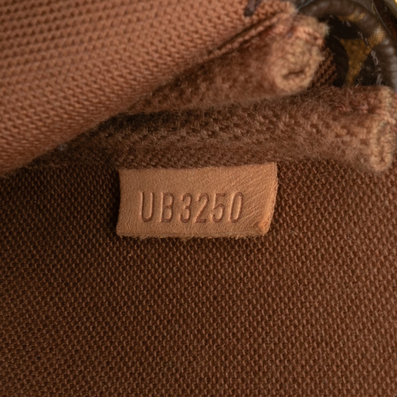 Louis Vuitton Monogram Mini Pochette Accessoires Bruin