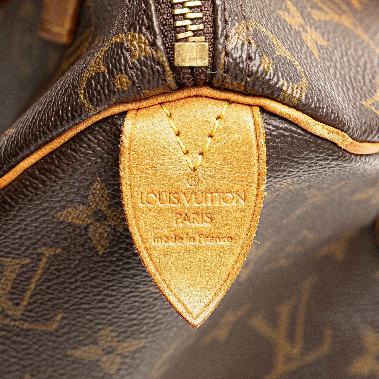 Louis Vuitton Monogram Speedy 25 Bruin