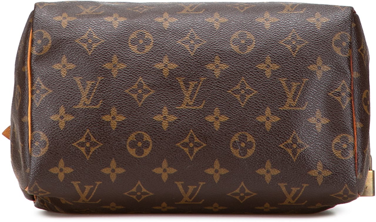 Louis Vuitton Monogram Speedy 25 Bruin